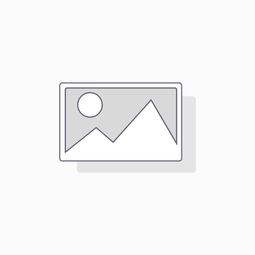 Star In-Cell HD+ Display für iPhone 16 Plus