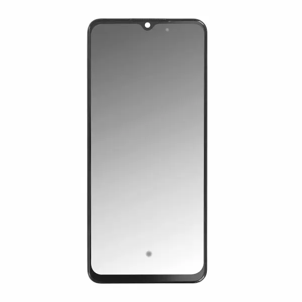 In-Cell für Oppo A91 2019 ohne Rahmen