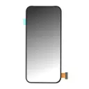 In-Cell für Google Pixel 9 G949-00947-00 2024 ohne Rahmen
