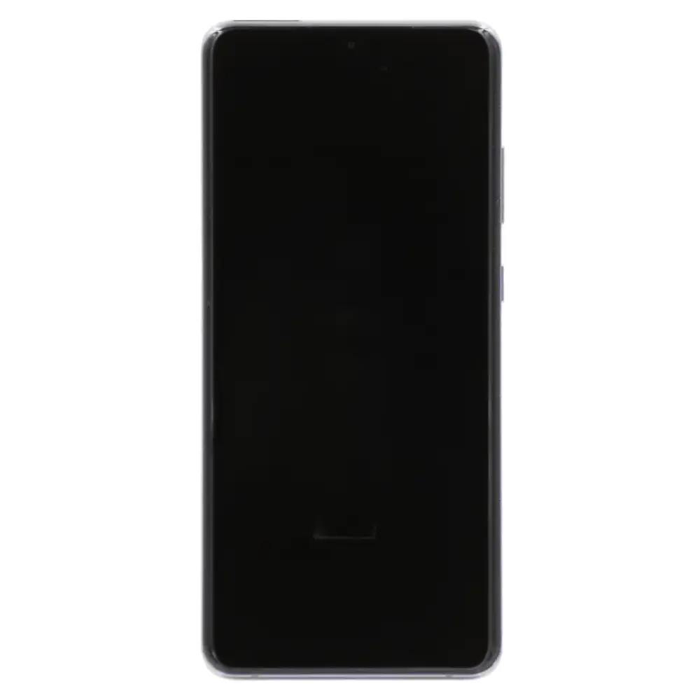 SOFT-OLED-DISPLAY FÜR SAMSUNG S20 ULTRA WITH FRAME