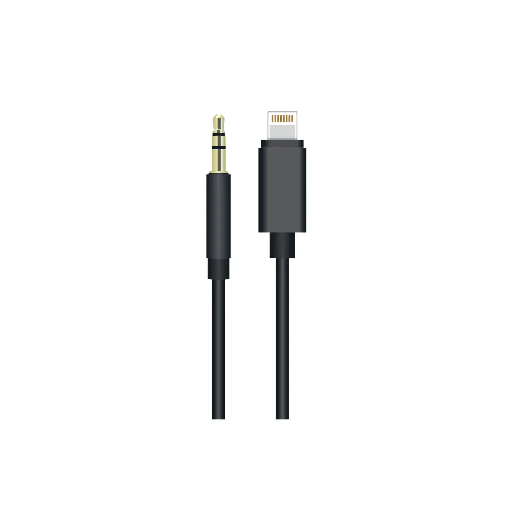 AC04 LIGHTNING TO AUX CABLE (Bluetooth)