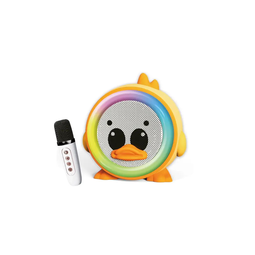 BTS250 BLUETOOTH SPEAKER
