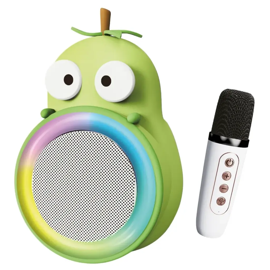 BTS251 BLUETOOTH LAUTSPRECHER